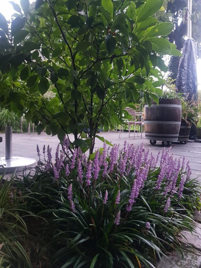 Theetuin Onder De Pannen Bed & Breakfast